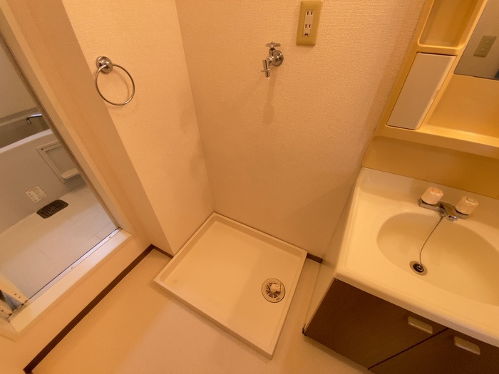 熊本市南区野口１丁目のアパートの洗面所