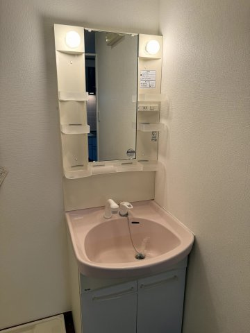 エクセルまつたにの洗面所