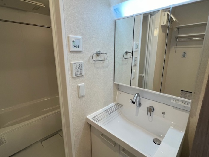 D-room姉体ⅢAの洗面所