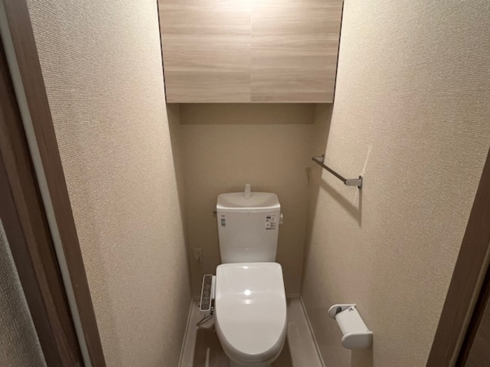 D-room姉体ⅢAのトイレ