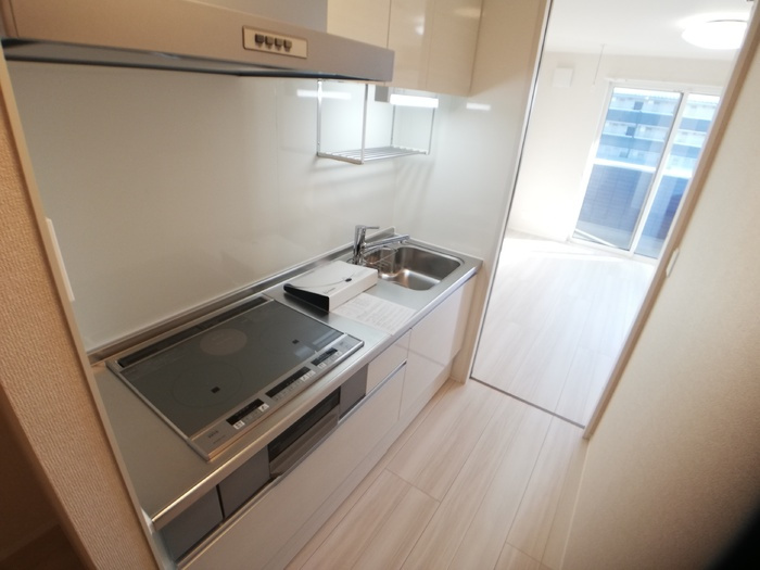 D-room姉体Ⅱのキッチン