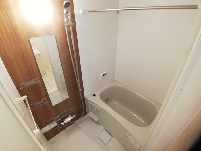 D-room姉体Ⅱの浴室