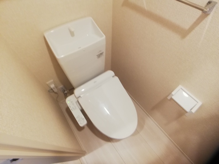 D-room姉体Ⅱのトイレ