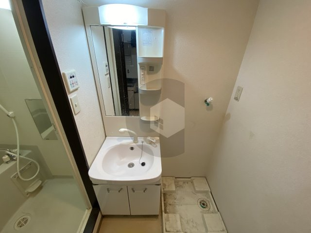 アルベージュ八戸ノ里1番館の洗面所