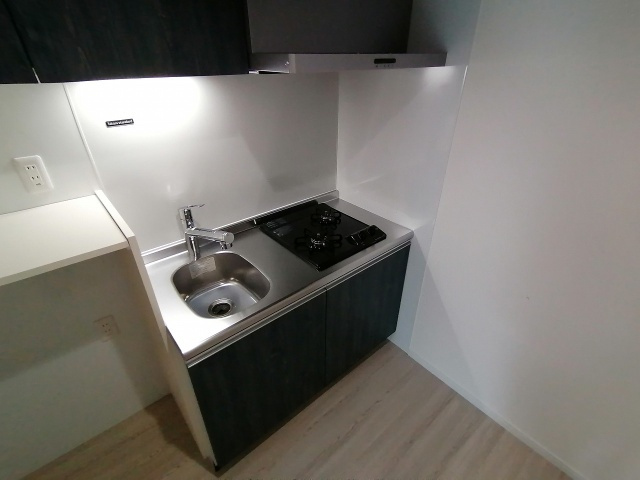 神戸市兵庫区菊水町４丁目のアパートのキッチン|システムキッチン（ガス２口）