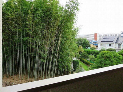 【展望】 | ＣＡＳＡ　ＤＥＯ（カーサデオ）