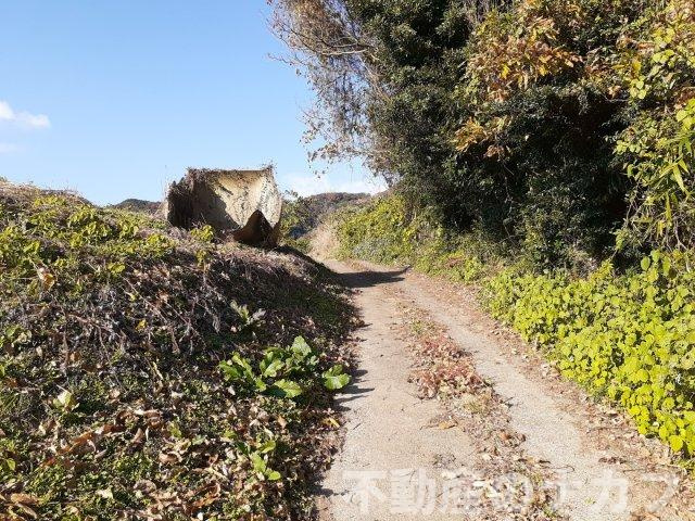 宇城市松橋町古保山の売地の周辺