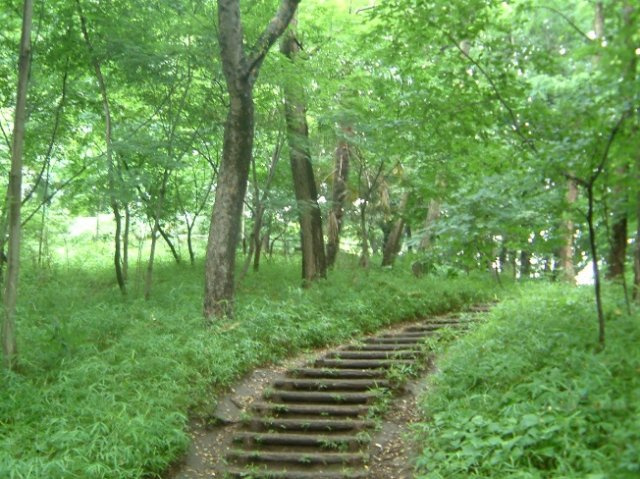 パインコートの周辺|戸山公園
