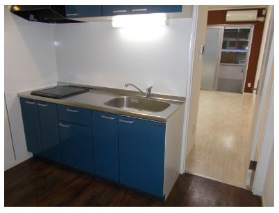 ニューナイスマンションのキッチン