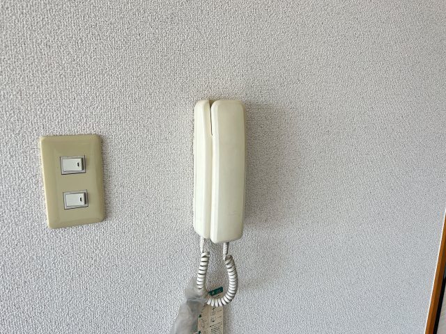 クレスト共和のセキュリティ