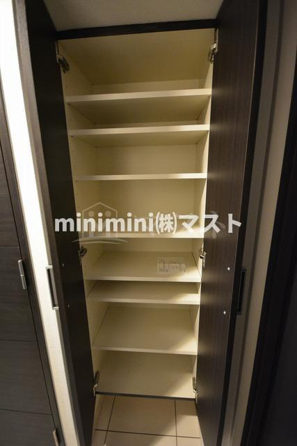 S-RESIDENCE難波Viale(ビアーレ)の収納