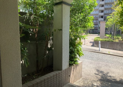 【中庭】 | ヴァンハウス相武台 | 中庭（パティオ）とは、一つの建築物の内部に設けられた、壁などで囲われている庭のことを指します。コの字型、ロの字型が主流ですが、L字型の中庭もあります。最近では、インテリア性の高さからも人気があります。