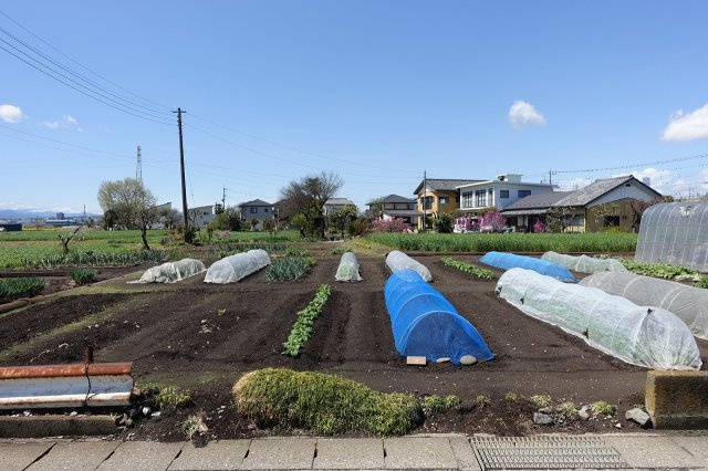 高崎市西島町　売地の外観|東から西方向