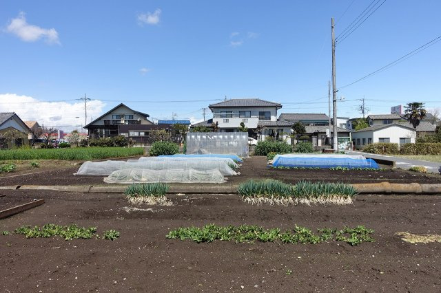 高崎市西島町　売地の外観|南から北方向