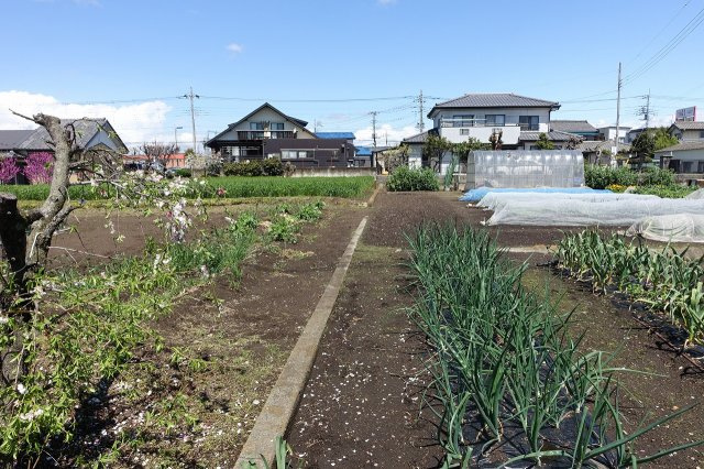 高崎市西島町　売地の外観|西側境界を南から北方向