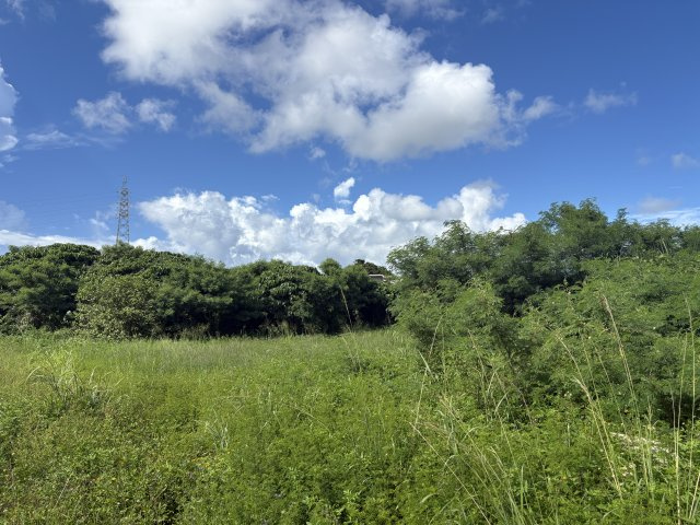 〇読谷村座喜味1379-1　売土地の外観