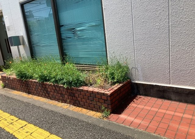 【外観】 | 家を建てる前提で土地を探している場合、地盤の丈夫さは譲れない条件の一つです。地盤が脆弱だと追加工事が必要となります。また、過去に地盤沈下や液状化現象を起こした土地は、できるだけ避けた方がいいでしょう。