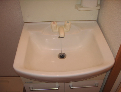 【洗面所】 | アイビーコート12の月