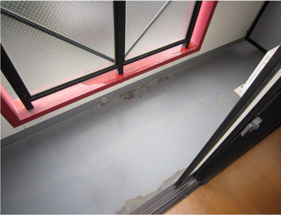 【バルコニー】 | アイビーコート12の月