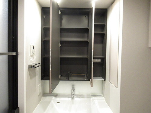 プラウドシティ武蔵浦和ステーションアリーナの洗面所|洗面台収納