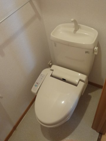 エヴァーグリーン・センターのその他