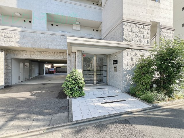 シグナスのその他