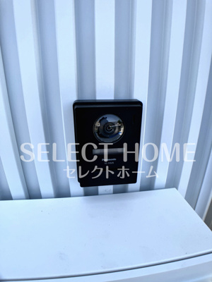  | クワテュオール沓市場