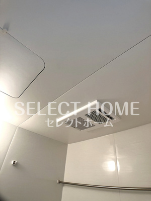  | クワテュオール沓市場