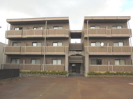 ノアズアークの画像