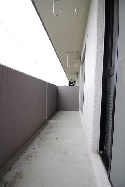 上益城郡益城町大字安永の賃貸マンションのバルコニー