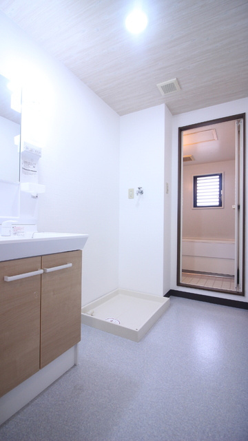 上益城郡益城町大字安永の賃貸マンションの洗面所