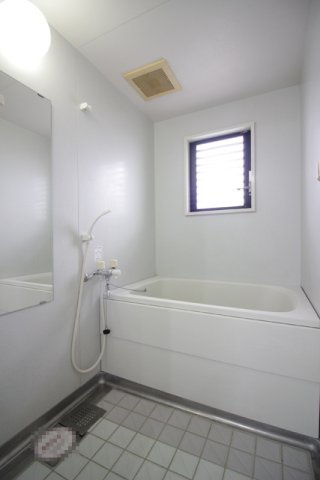 上益城郡益城町大字安永の賃貸マンションの浴室