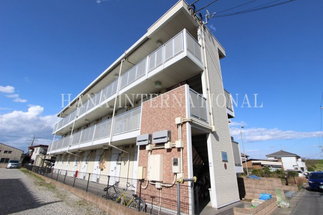 ミュートステセラの外観