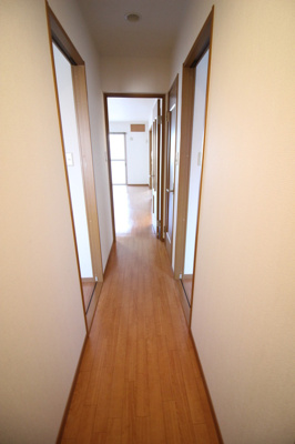 【その他】 | アムールカセイ