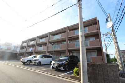 【その他】 | アムールカセイ