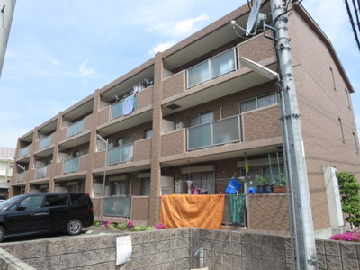 【外観】 | アムールカセイ