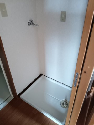 【その他】 | アムールカセイ