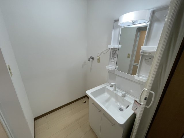 メゾンドシェルの洗面所