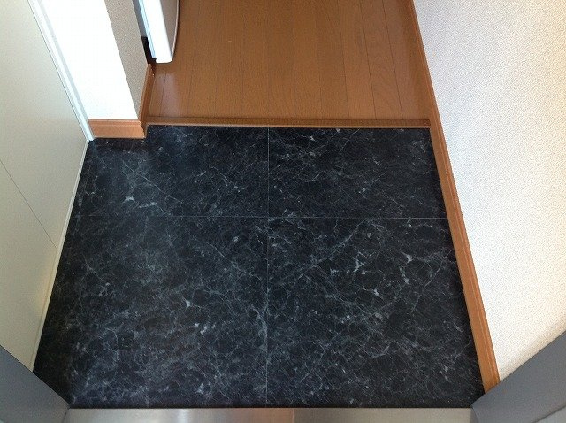 レオパレスルクソールの玄関