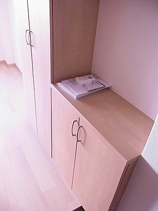 アンフィニ坂口通の玄関