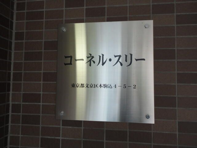 コーネル・スリーのその他