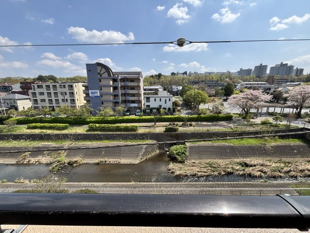 前面に建物はありません。温かな日差しと心地よい風を感じてください。