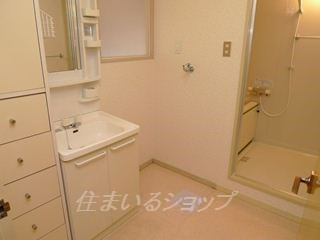 広島市安佐北区落合１丁目の賃貸マンションの洗面所|シャンプードレッサー