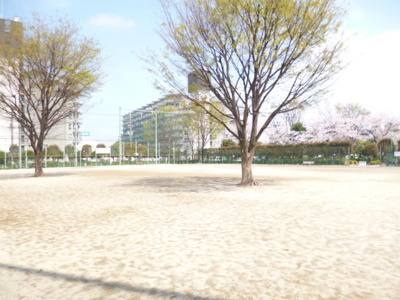 中青木公園まで300m