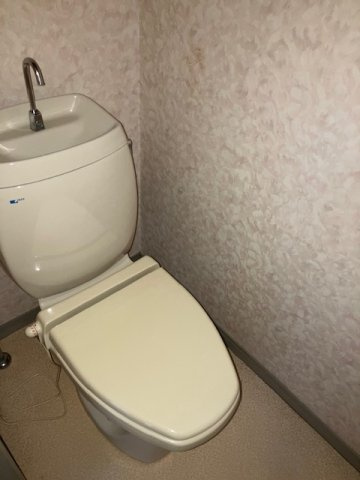 東洋パレスのトイレ