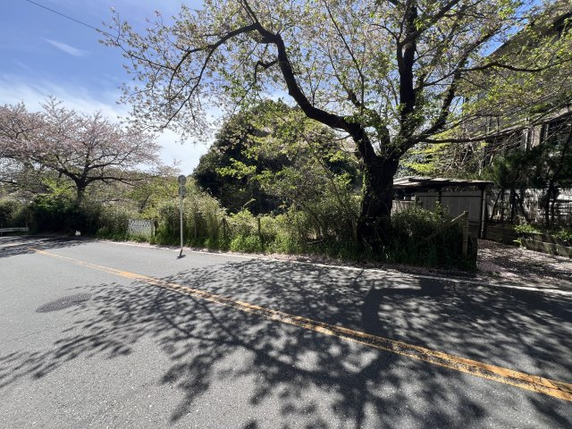 鎌倉山 高台 自然豊かな住環境の外観|陽当たり良好