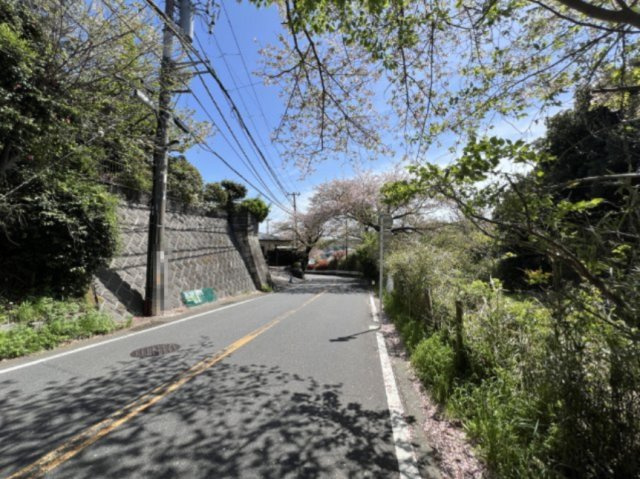 鎌倉山 高台 自然豊かな住環境の前面道路含む現地写真|前面道路
