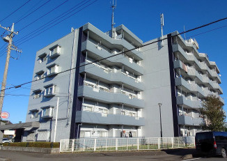 坂戸レジ(建物名：ヴィラ中川）の外観|外観もきれいです。管理も行き届き、９５％稼働を維持しております。