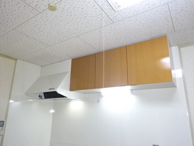 ネオハートβのその他