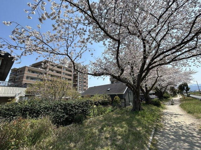 【周辺】 | アーサー室見ツインパークス